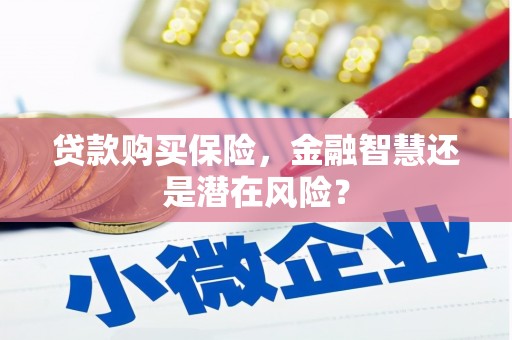 滁州贷款购买保险，金融智慧还是潜在风险？