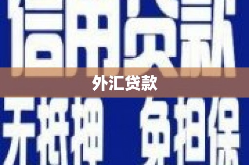 滁州外汇贷款