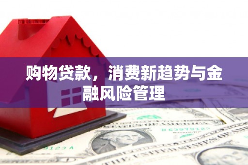 滁州购物贷款，消费新趋势与金融风险管理