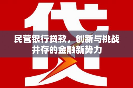 滁州民营银行贷款，创新与挑战并存的金融新势力