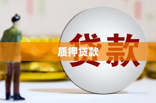 滁州质押贷款