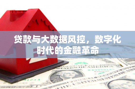滁州贷款与大数据风控，数字化时代的金融革命