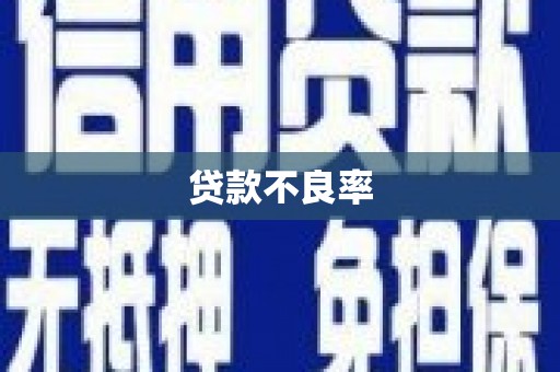 滁州贷款不良率