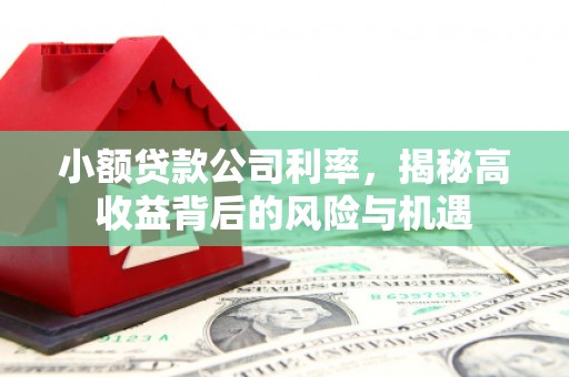 滁州小额贷款公司利率，揭秘高收益背后的风险与机遇