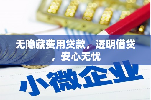 滁州无隐藏费用贷款，透明借贷，安心无忧