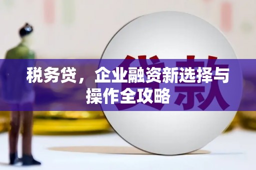 滁州税务贷，企业融资新选择与操作全攻略