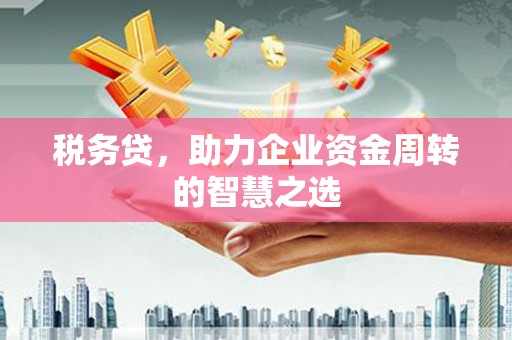 滁州税务贷，助力企业资金周转的智慧之选