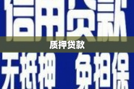 滁州质押贷款