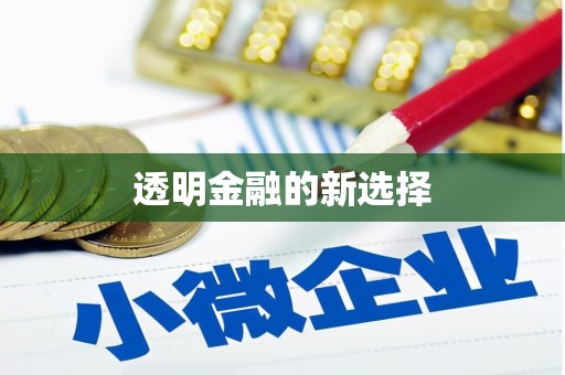 滁州透明金融的新选择