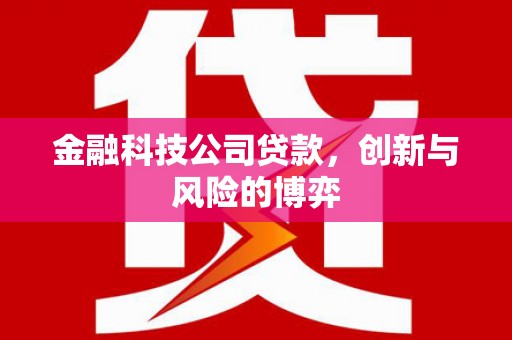 滁州金融科技公司贷款，创新与风险的博弈
