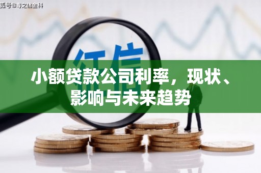 滁州小额贷款公司利率，现状、影响与未来趋势