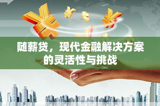 滁州随薪贷，现代金融解决方案的灵活性与挑战