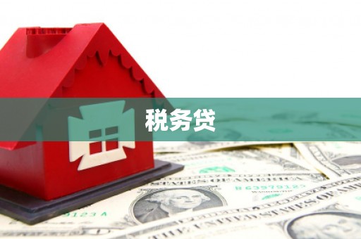 滁州税务贷
