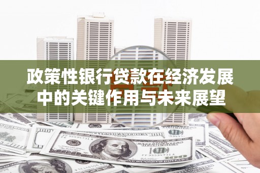 滁州政策性银行贷款在经济发展中的关键作用与未来展望
