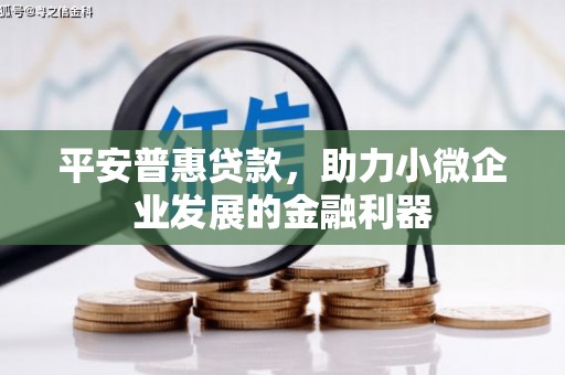 滁州平安普惠贷款，助力小微企业发展的金融利器