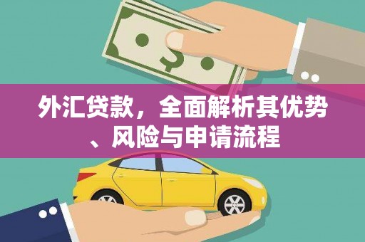 滁州外汇贷款，全面解析其优势、风险与申请流程