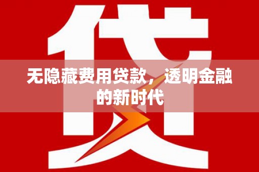 滁州无隐藏费用贷款，透明金融的新时代