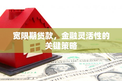 滁州宽限期贷款，金融灵活性的关键策略