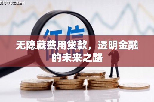 滁州无隐藏费用贷款，透明金融的未来之路