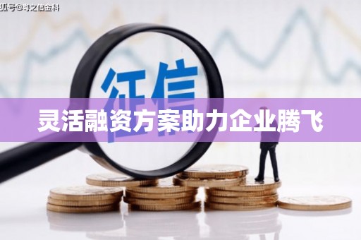 滁州灵活融资方案助力企业腾飞