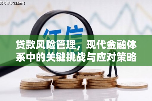 滁州贷款风险管理，现代金融体系中的关键挑战与应对策略
