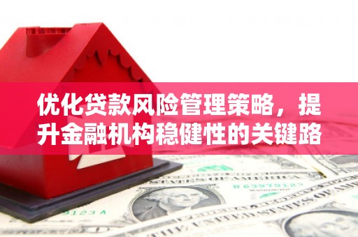 滁州优化贷款风险管理策略，提升金融机构稳健性的关键路径