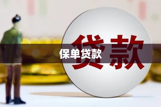滁州保单贷款