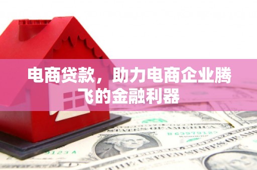 滁州电商贷款，助力电商企业腾飞的金融利器