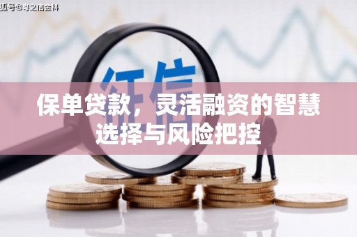 滁州保单贷款，灵活融资的智慧选择与风险把控