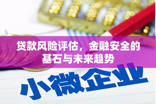滁州贷款风险评估，金融安全的基石与未来趋势