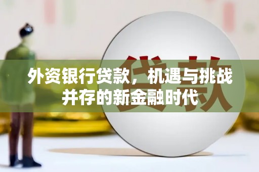 滁州外资银行贷款，机遇与挑战并存的新金融时代