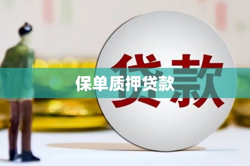 滁州保单质押贷款