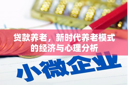 滁州贷款养老，新时代养老模式的经济与心理分析
