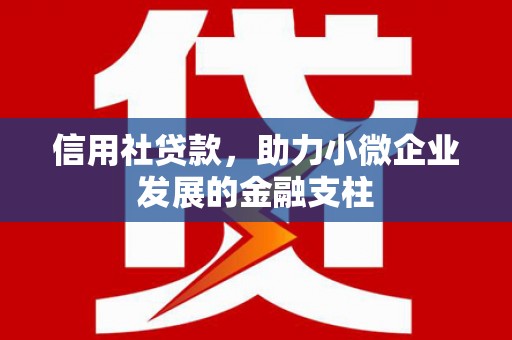 滁州信用社贷款，助力小微企业发展的金融支柱