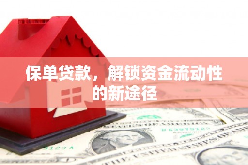滁州保单贷款，解锁资金流动性的新途径