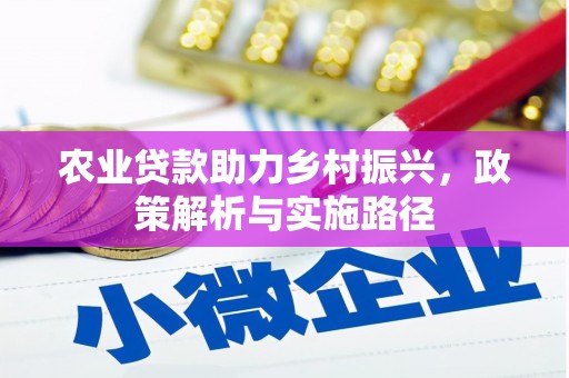 滁州农业贷款助力乡村振兴，政策解析与实施路径