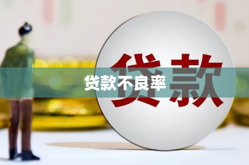 滁州贷款不良率