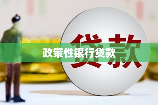 滁州政策性银行贷款