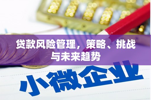 滁州贷款风险管理，策略、挑战与未来趋势