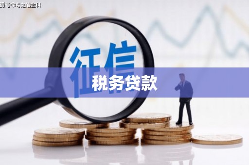 滁州税务贷款