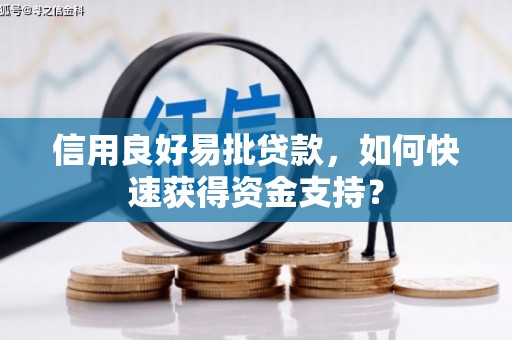 滁州信用良好易批贷款，如何快速获得资金支持？