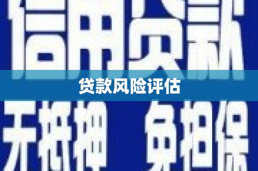 滁州贷款风险评估