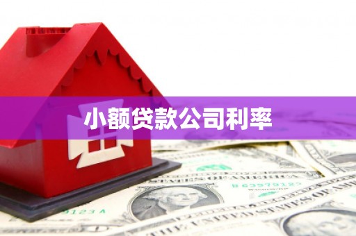 滁州小额贷款公司利率