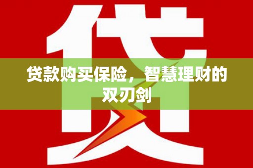 滁州贷款购买保险，智慧理财的双刃剑