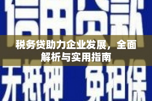 滁州税务贷助力企业发展，全面解析与实用指南