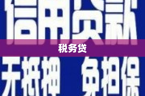 滁州税务贷