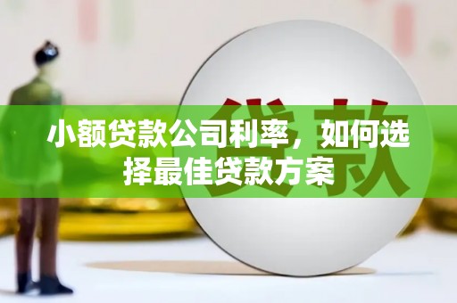 滁州小额贷款公司利率，如何选择最佳贷款方案