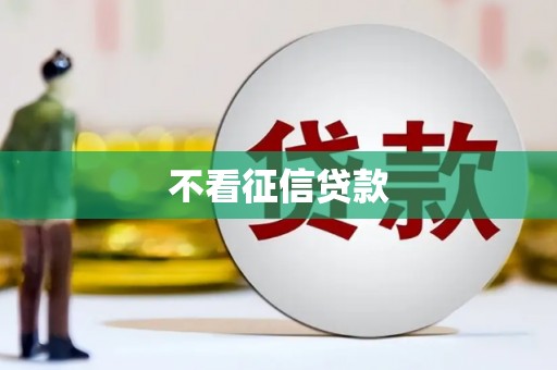 滁州不看征信贷款