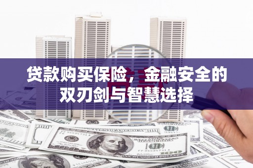 滁州贷款购买保险，金融安全的双刃剑与智慧选择