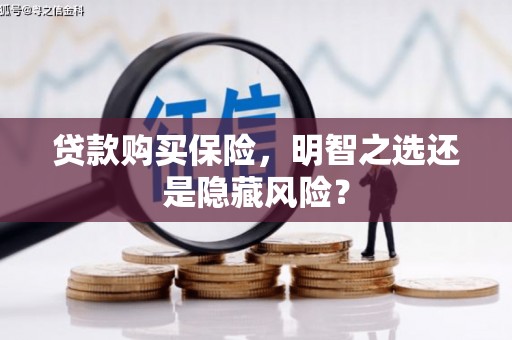 滁州贷款购买保险，明智之选还是隐藏风险？